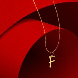 گردنبند طلا 18 عیار زنانه با زنجیر حلقه‌ای (فلامینگو) نیکان گلد مدل حرف F — تصویر 5 از 5