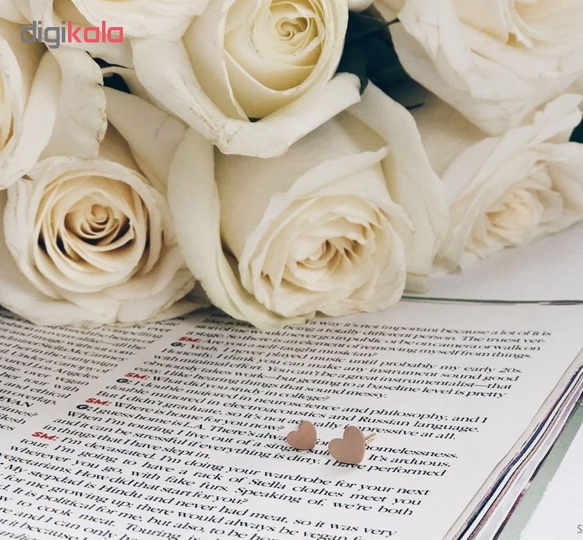 گوشواره طلا 18 عیار زنانه جواهری سالی طرح قلب مدل Dj8316710 — تصویر 4 از 6