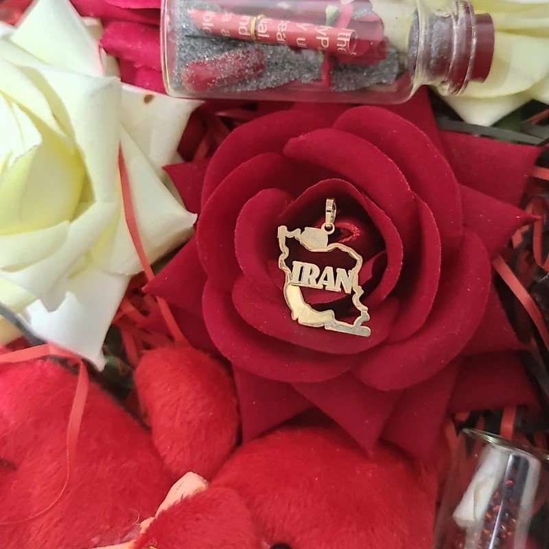 آویز گردنبند طلا 18 عیار زنانه نیکان گلد مدل نقشه ی ایران — تصویر 3 از 4