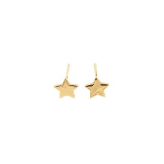 گوشواره طلا 18 عیار زنانه مدل ستاره کد Es1107 — تصویر 4 از 4